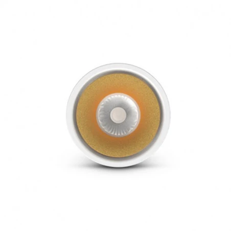 Applique LED - 12W CCT - Inclinable/Orientable - Blanc/Doré 5 Applique LED - 12W CCT - Inclinable/Orientable - Blanc/Doré – Image 5