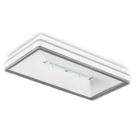 BAEH évacuation Habitation IP44 IK08 - 8 Lm 1 BAEH évacuation Habitation IP44 IK08 - 8 Lm