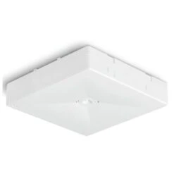 BAES Ambiance Certifié NF - IP20 IK04 - 345 Lm