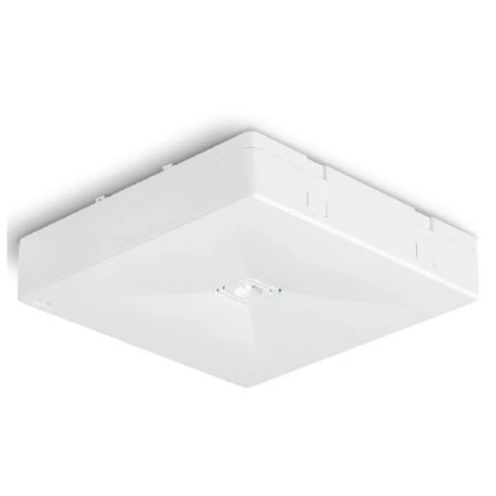 BAES Ambiance Certifié NF - IP20 IK04 - 345 Lm 1 BAES Ambiance Certifié NF - IP20 IK04 - 345 Lm