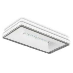 BAES Ambiance étanche IP65 IK08 - 390 Lm