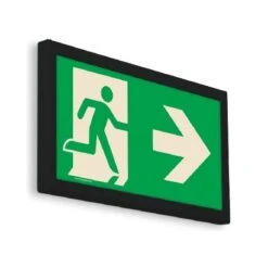 BAES D’évacuation - Noir - 5700°K - IP20 - IK04