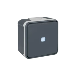 Bouton Poussoir Lumineux 10A Complet étanche OXXO Gris IP55