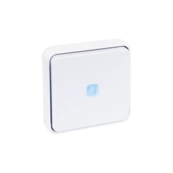 Bouton Poussoir Lumineux étanche à Encastrer 10A - Blanc