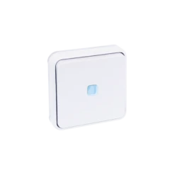 Bouton Poussoir Lumineux étanche Encastré 10A - Blanc