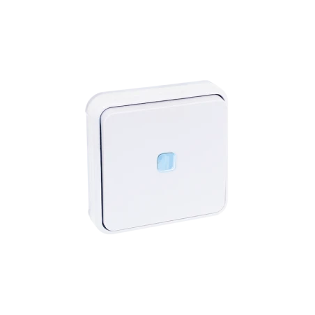 Bouton Poussoir Lumineux étanche Encastré 10A - Blanc 1 Bouton Poussoir Lumineux étanche Encastré 10A - Blanc