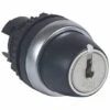 Legrand Bouton Tournant Non Lumineux à Clé N°455 - 3 Positions Droite Rappel Au Centre 45° - IP69