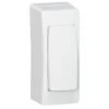 Legrand Cadre Appareillage Saillie 1 Poste étroit Pose Sur Moulure DLPlus 32x12,5mm Et 40x12,5mm - Blanc