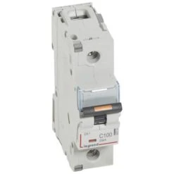Legrand Disjoncteur DX³ 25kA - 1P 230V~ à 400V~ - 100A - Courbe C - 1,5 Module