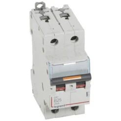 Legrand Disjoncteur DX³ 25kA - 2P 230V~ à 400V~ - 25A - Courbe B - 2 Modules