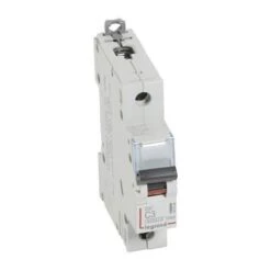 Legrand Disjoncteur DX³6000 - 1P - 3A - 230V à 400V~ - Courbe C - Vis/vis
