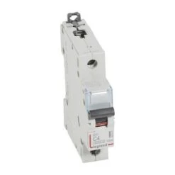 Legrand Disjoncteur DX³6000 - 1P - 4A - 230V à 400V~ - Courbe C - Vis/vis