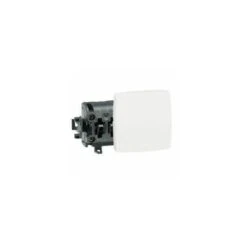 Legrand Interrupteur Bipolaire Appareillage Saillie Composable - Blanc