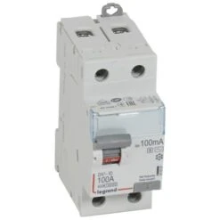 Legrand Interrupteur Différentiel 2P 230V~ 100A Type AC 100mA Sélectif 2 Modules