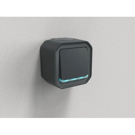 Interrupteur Ou Va-et-vient Témoin LEGRAND Avec Voyant étanche Plexo 10A 250~ IP55 IK08 - Anthracite 4 Interrupteur Ou Va-et-vient Témoin LEGRAND Avec Voyant étanche Plexo 10A 250~ IP55 IK08 - Anthracite – Image 4