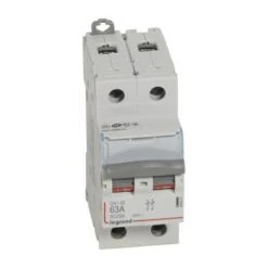 Legrand Interrupteur-sectionneur DX³-IS 2P 400V~ - 63A - 2 Modules