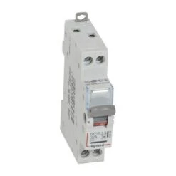 Legrand Interrupteur-sectionneur DX³-IS à Voyant 2P 400V~ - 32A - 1 Module