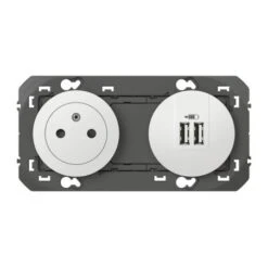 Legrand Prise De Courant 2P+T Surface + Chargeur 2 USB Type-A DOOXIE 3A Précâblés Finition Blanc