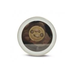 Projecteur Piquet Compatible GU10 - Inox 316L 9 Projecteur Piquet Compatible GU10 - Inox 316L -Maison Moderne Electricite projecteur piquet compatible gu10 inox 316l miidex lighting 4