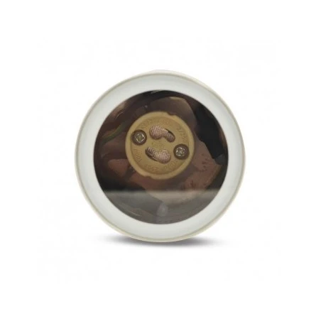 Projecteur Piquet Compatible GU10 - Inox 316L 5 Projecteur Piquet Compatible GU10 - Inox 316L – Image 5