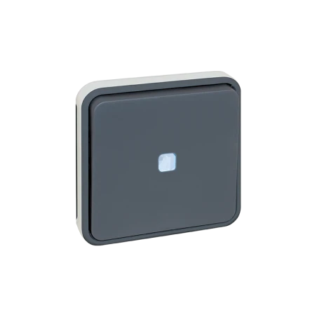 Va-et-vient Lumineux étanche à Encaster 10A - Gris 1 Va-et-vient Lumineux étanche à Encaster 10A - Gris