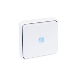 Va-et-vient Lumineux étanche à Encastrer 10A - Blanc